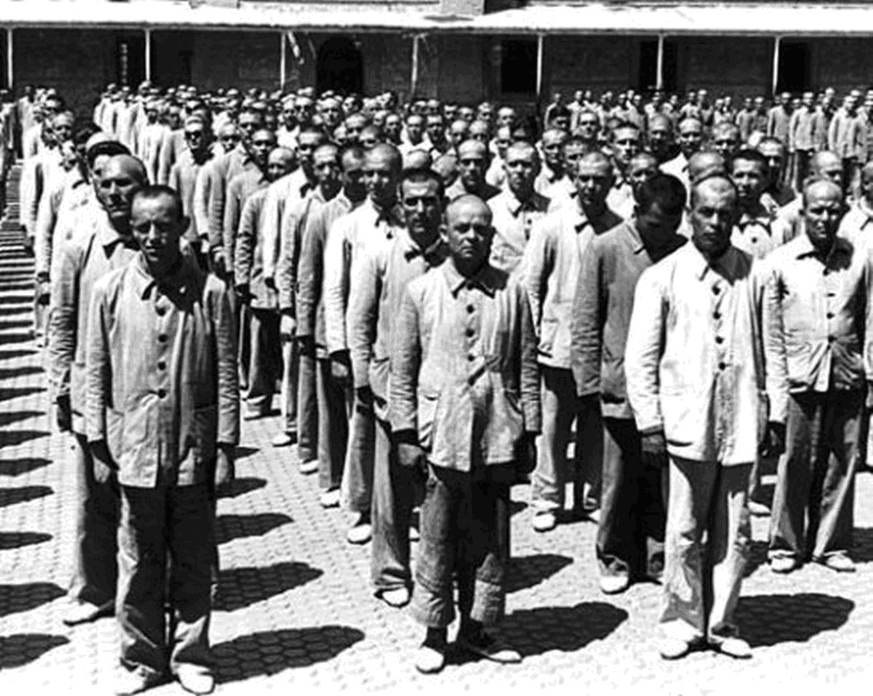 Biografía de Viktor Frankl - AESLO - Asociación Española de Logoterapia